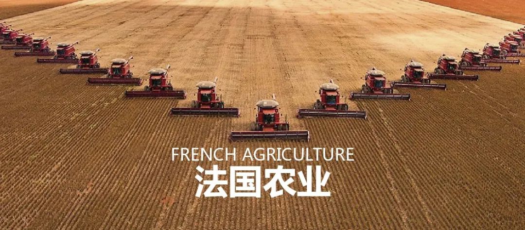 法国农业：欧盟农业大国，靠这6大战略制胜市场
